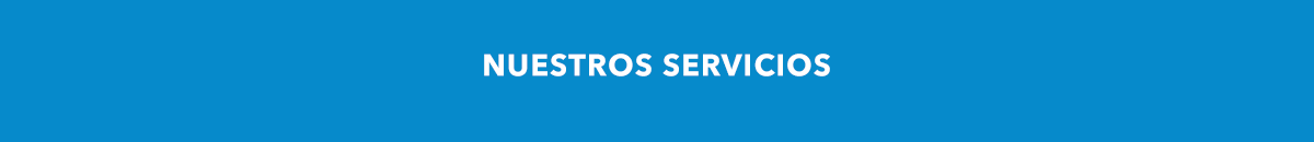 servicios2